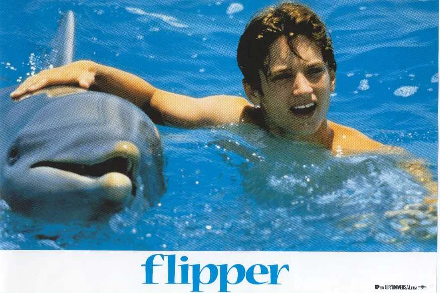 Szenenbild – Flipper