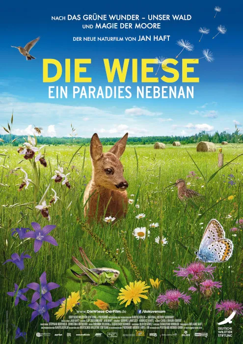 Szenenbild – Die Wiese