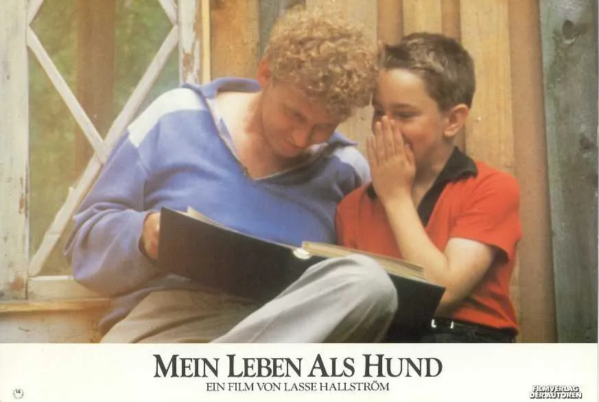 Szenenbild – Mein Leben als Hund