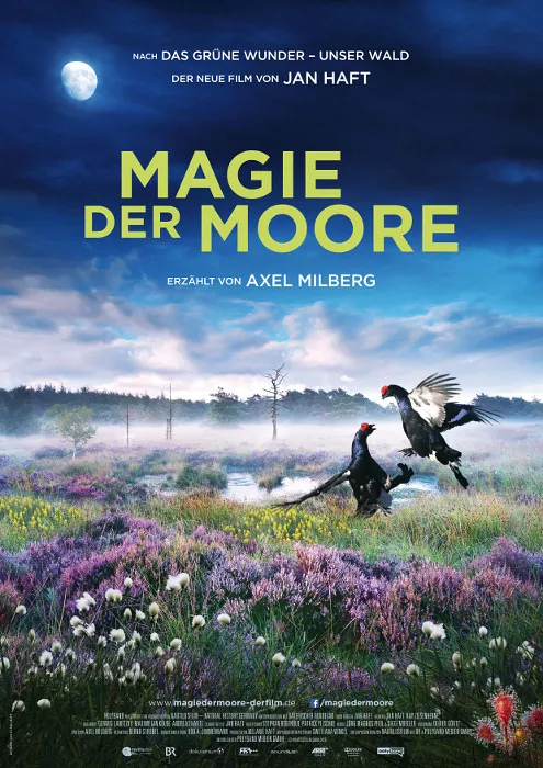 Szenenbild – Magie der Moore