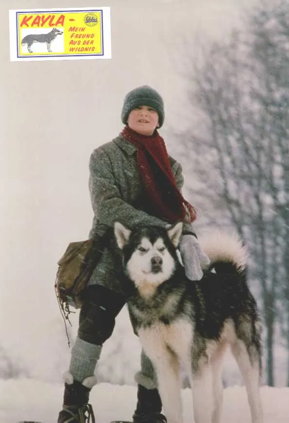 Szenenbild – Kayla - Mein Freund aus der Wildnis