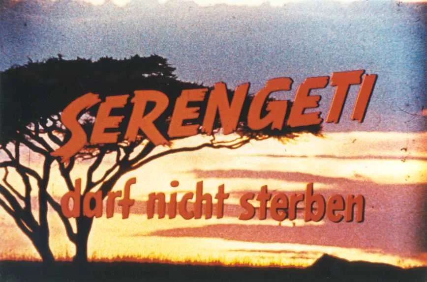 Szenenbild – Serengeti darf nicht sterben