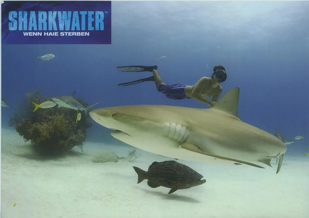 Szenenbild – Sharkwater
