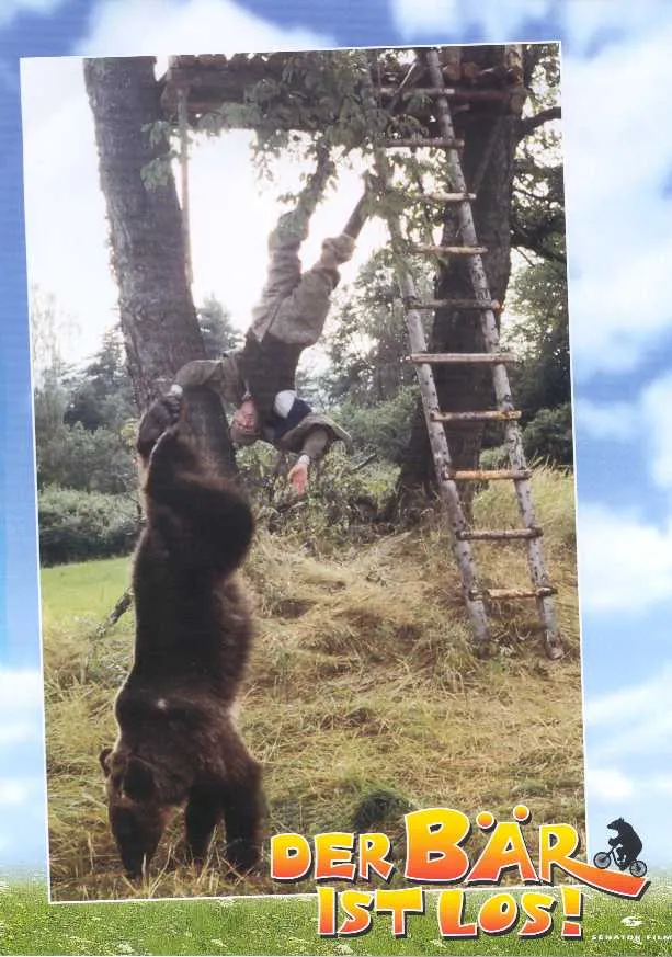 Szenenbild – Der Bär ist los