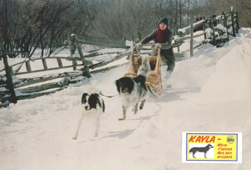 Szenenbild – Kayla - Mein Freund aus der Wildnis