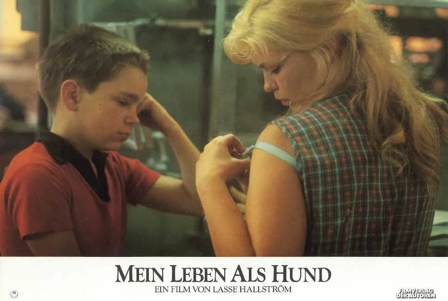 Szenenbild – Mein Leben als Hund