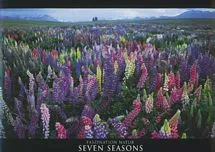 Szenenbild – Seven Seasons