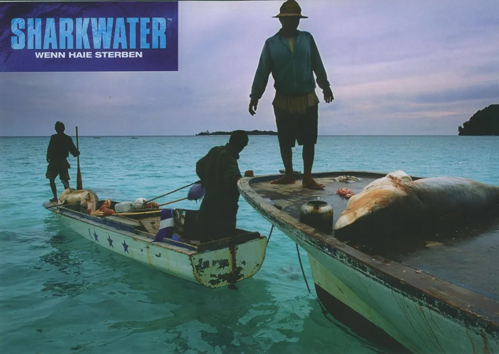 Szenenbild – Sharkwater
