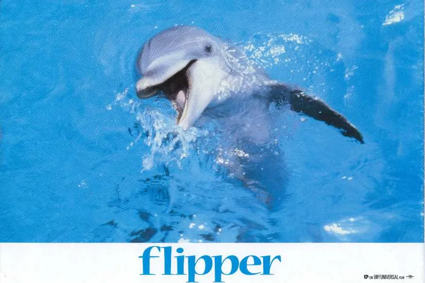 Szenenbild – Flipper