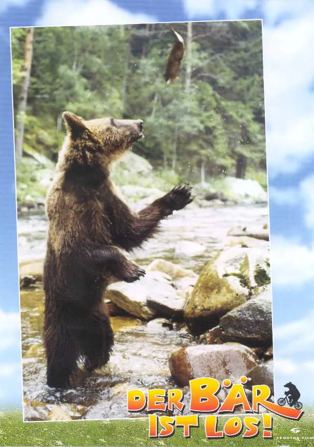 Szenenbild – Der Bär ist los