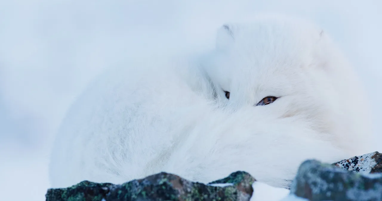 Szenenbild – Frost ohne Schnee und Eis