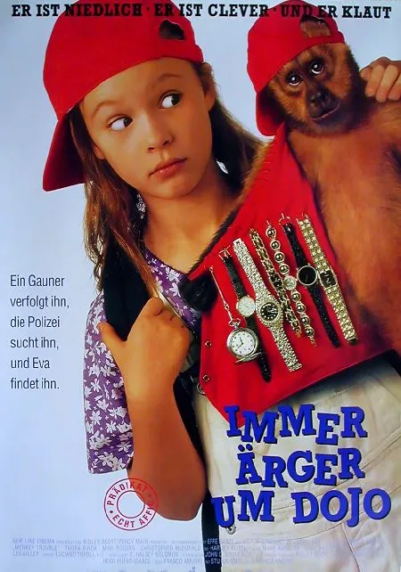 Plakat – Immer Ärger um Dojo