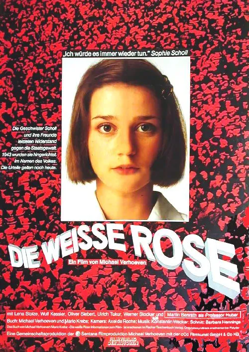 Plakat – Die weisse Rose
